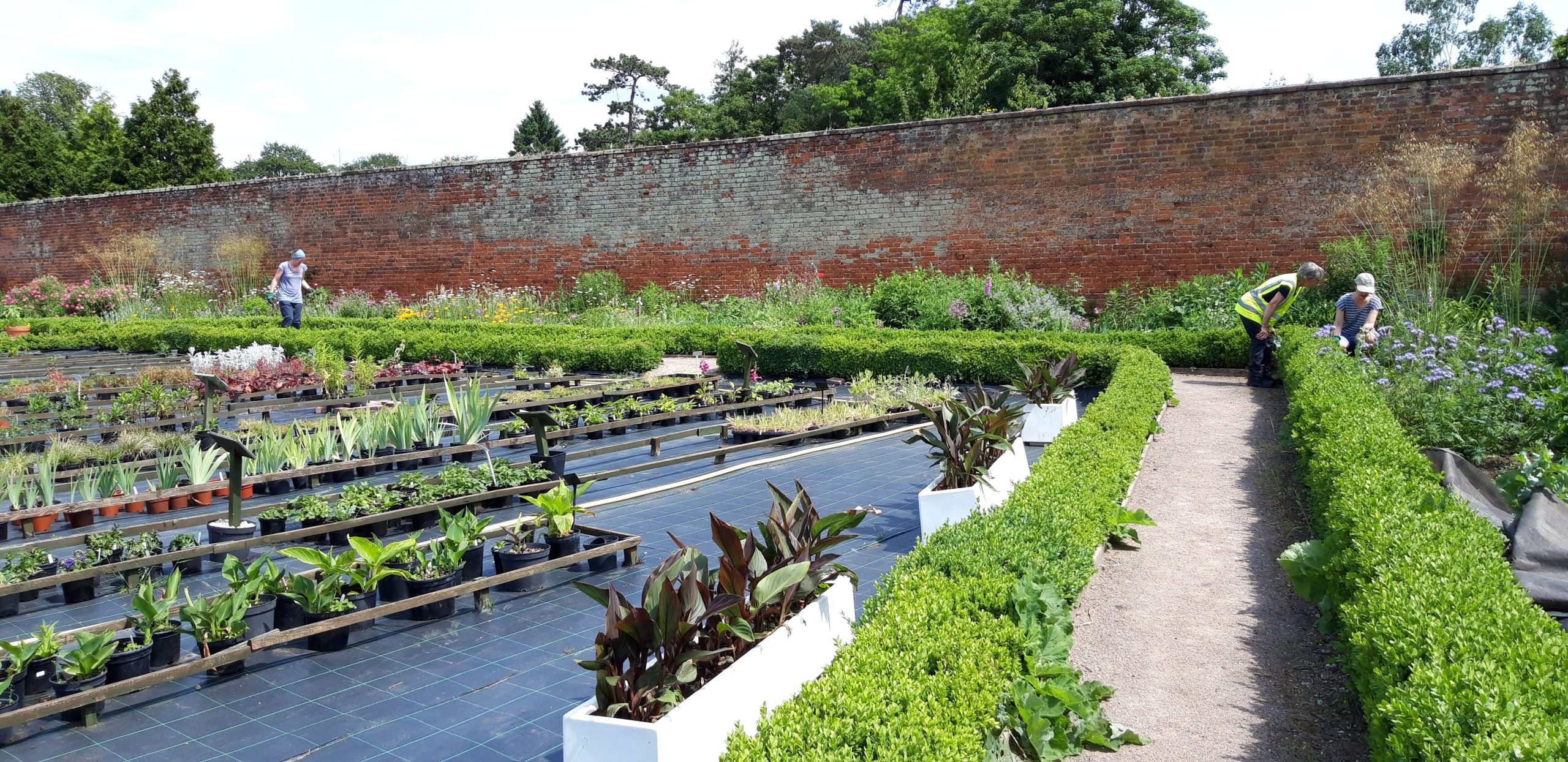 Chantry walled Garden Nursery - photo