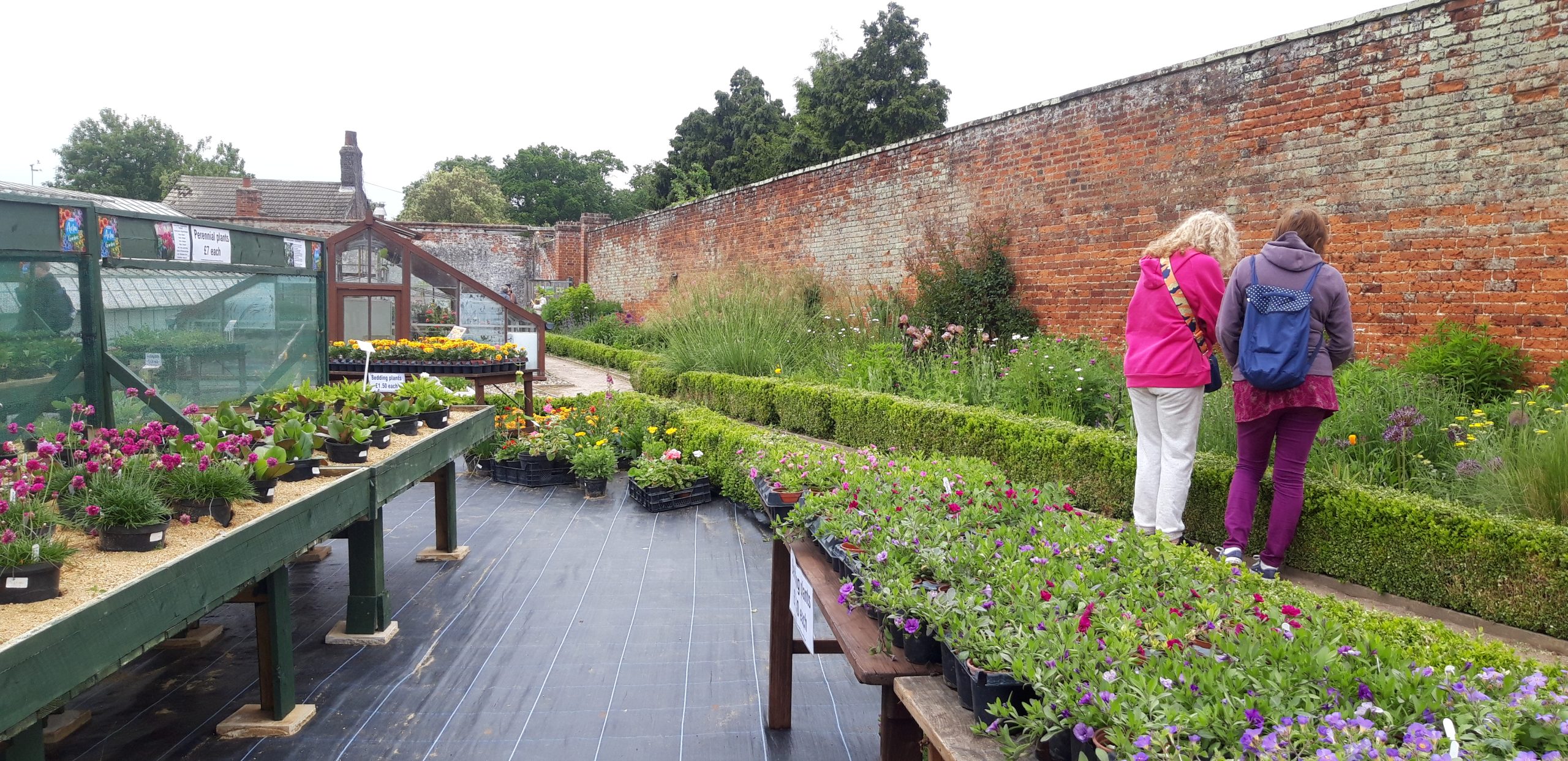 Chantry Walled Garden - photo